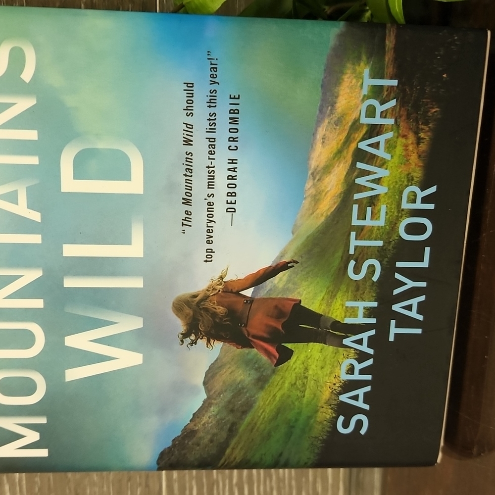The mountain wild a mystery by Sarah Stewart Taylor great read - Picture 3 of 5